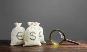 Pillole sulla Legge di Bilancio 2025 - Studio Stefani Commercialisti, , Consulenti del Lavoro e Avvocati